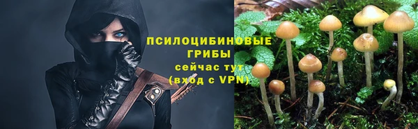 экстази Киреевск