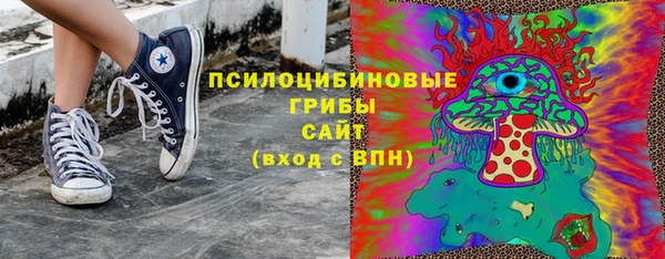 а пвп мука Козловка
