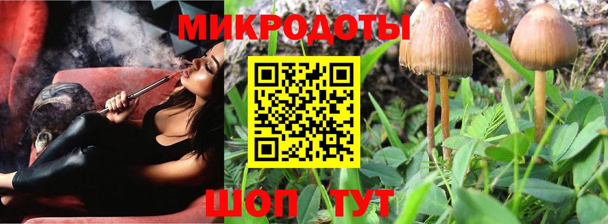 Псилоцибиновые грибы Psilocybine cubensis  Вход с VPN  Кумертау 